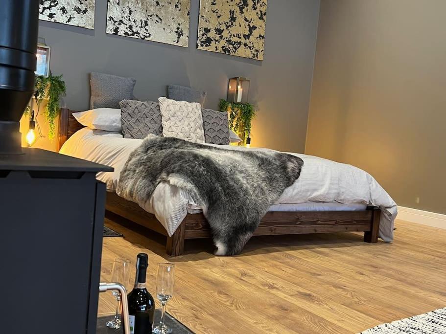 Quirky, Luxury Hideaway Βίλα Llanbrynmair Εξωτερικό φωτογραφία